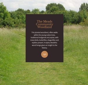 Meads-woodlan-e1521549893692-300×287
