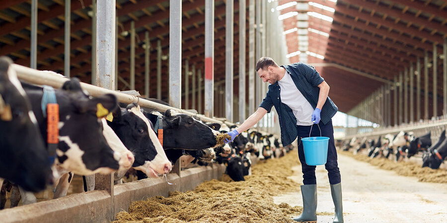 agriculture industry, farming, people and animal husbandry conce