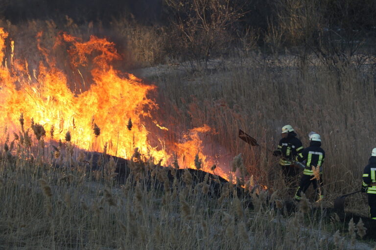 Firefighters Battling A Wildfire