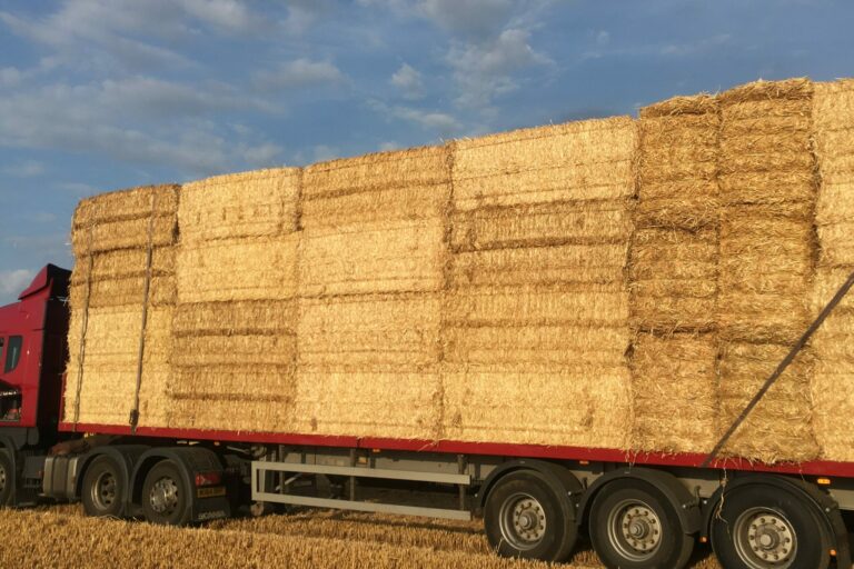 Lorry loaded with straw