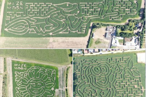 Aerial photos of Maize Maze designs that FGS Agri drilled