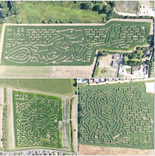 Aerial photos of Maize Maze designs that FGS Agri drilled
