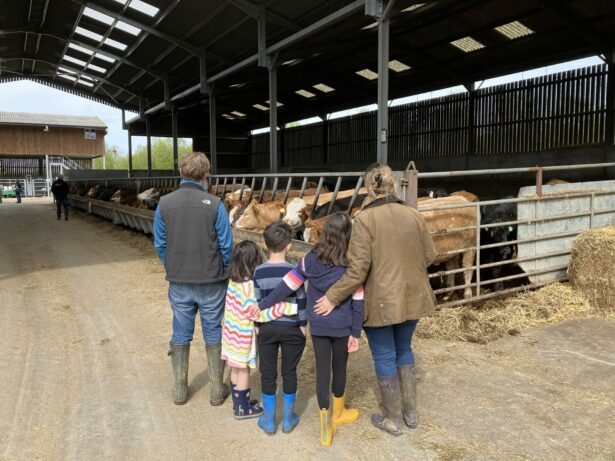 Calving Day at Stanford Bridge Farm Family enjoying the calving day at FGS Agri