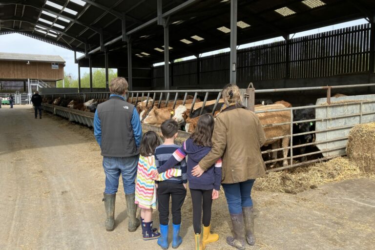 Family enjoying the calving day at FGS Agri