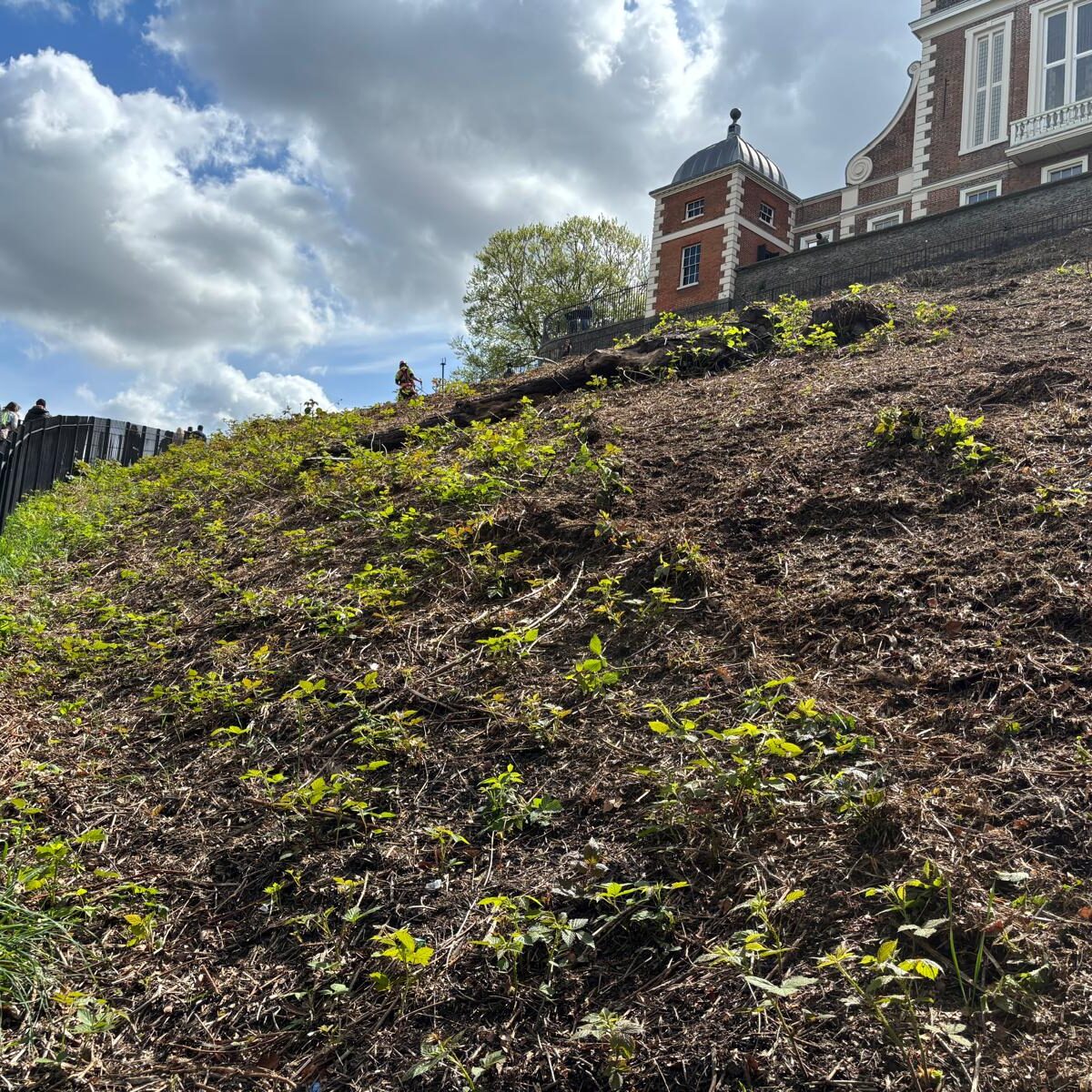 Greenwich Royal park