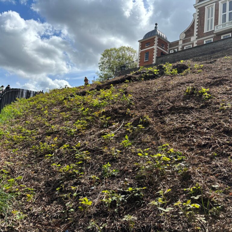 Greenwich Royal park