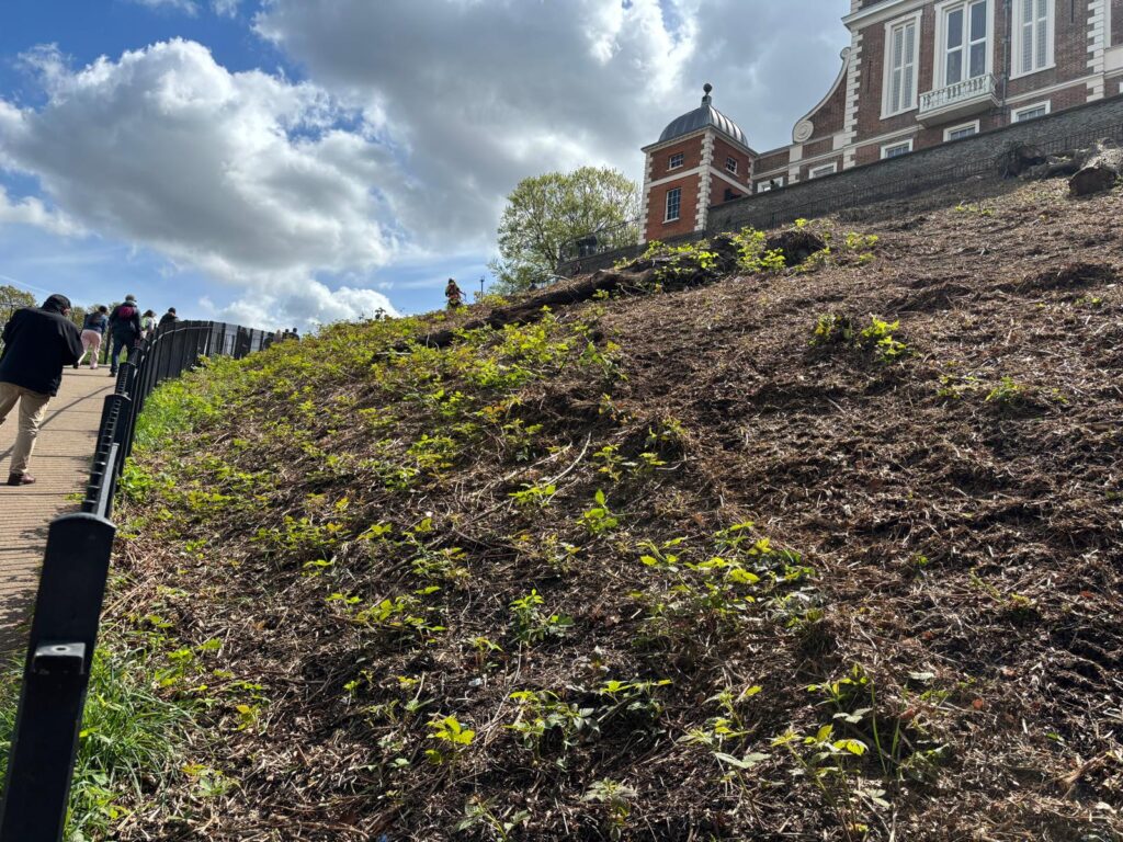 Vegetation Management at Greenwich Park Vegetation Management at Greenwich Park
