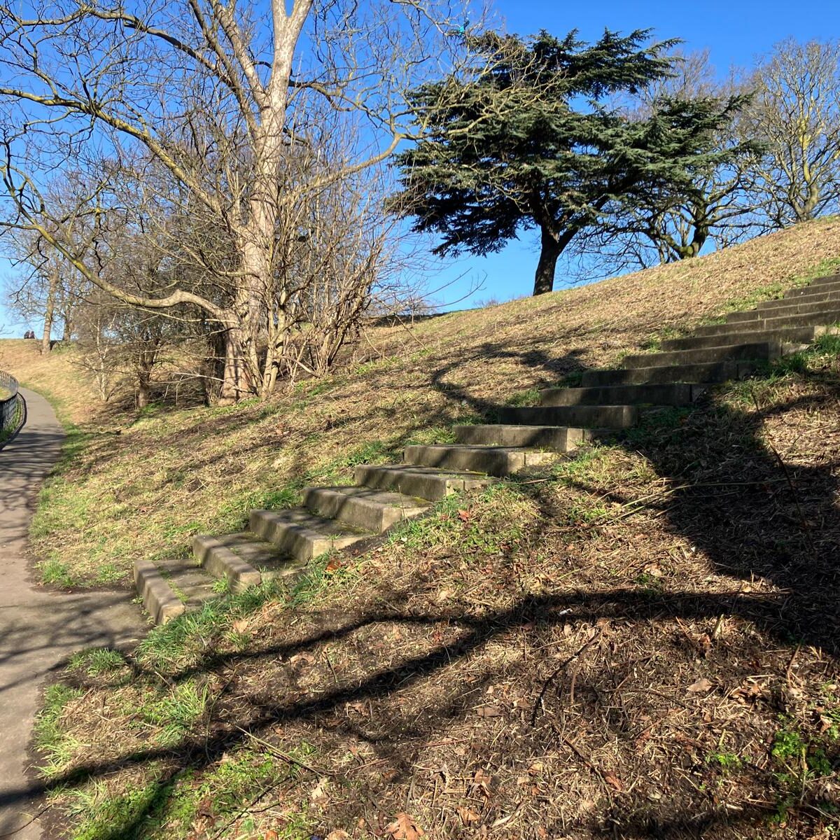 Greenwich Park - vegetation management by FGS Agri