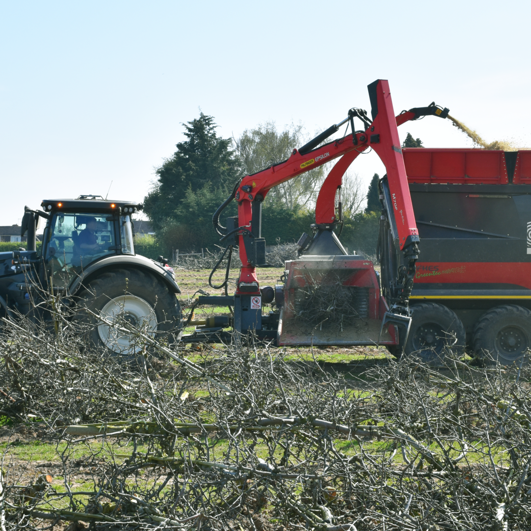 Sustainable tree clearance