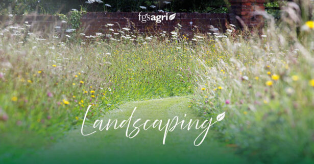 Landscaping grass FGS Landscaping