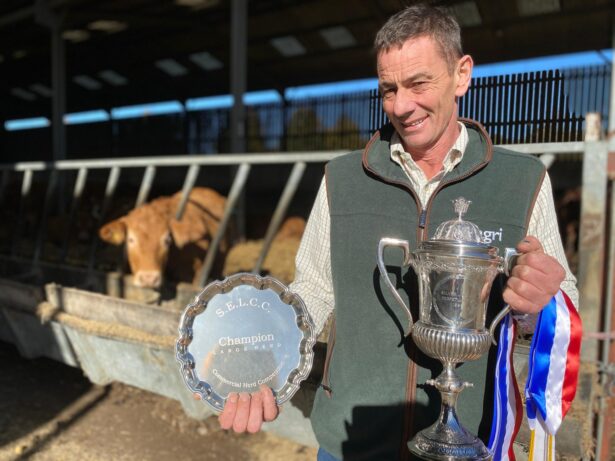 Award Winning Cattle Limousin Award Winning Cattle at Pluckley FGS Agri
