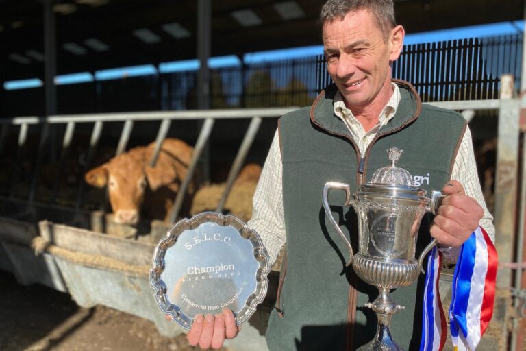 Award Winning Cattle at Pluckley FGS Agri
