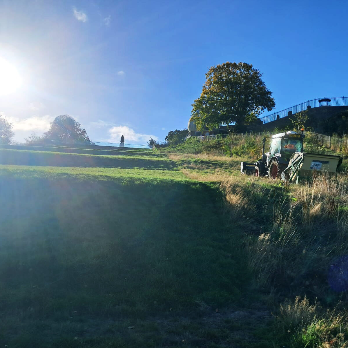 Cut & Collect at Greenwich Park by FGS Agri
