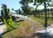 Tree Watering
