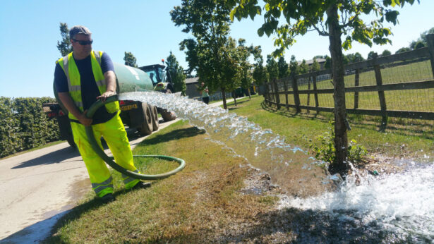 Tree watering Tree Watering