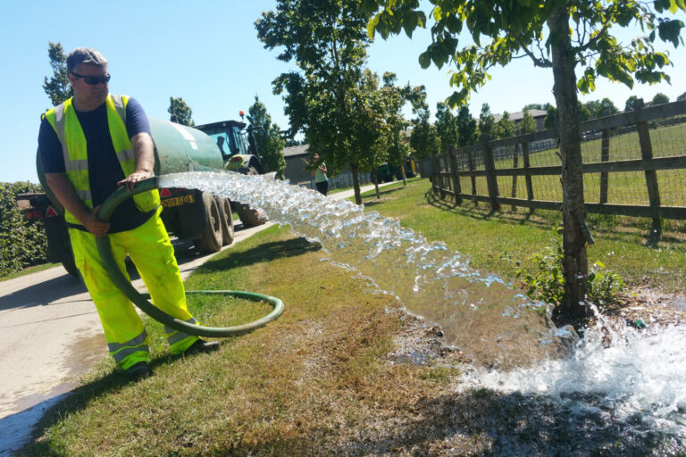 Tree Watering